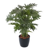 Philodendron selloum artificiel