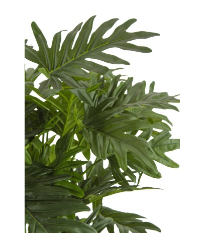 Philodendron selloum artificiel