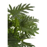 Philodendron selloum artificiel