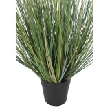 Pot