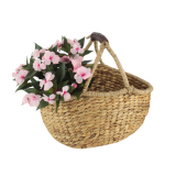 Panier en jacinthe d'eau