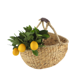 Panier en jacinthe d'eau