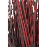 Herbe de feu artificielle