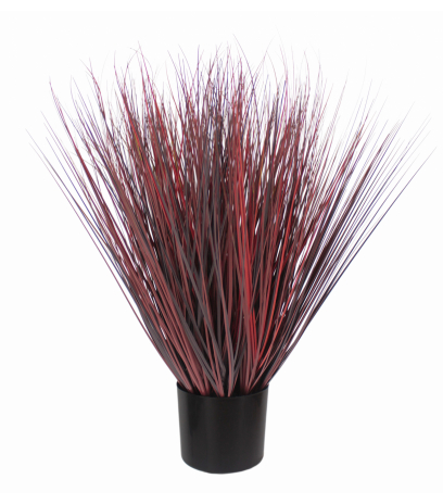 Herbe de feu artificielle