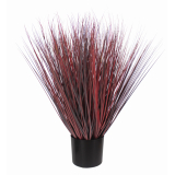 Herbe de feu artificielle