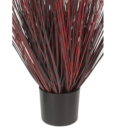 Herbe de feu artificielle