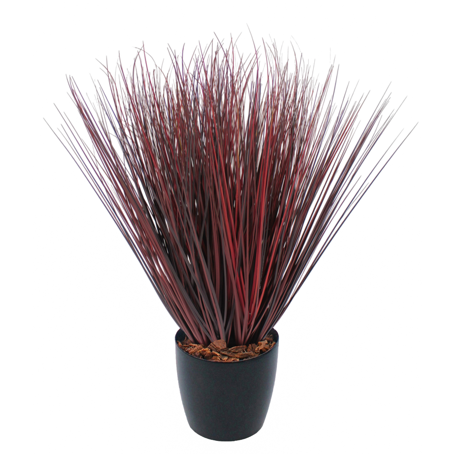 Herbe de feu artificielle