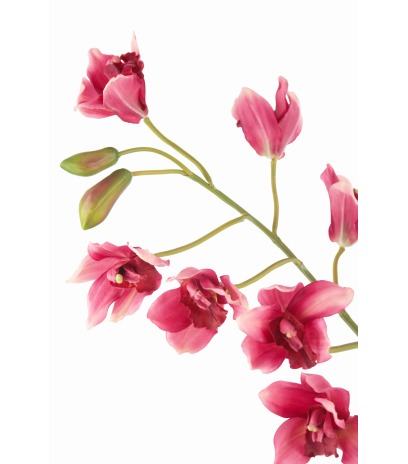 Cymbidium artificiel rouge
