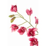 Cymbidium artificiel rouge