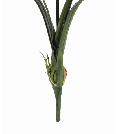 Cymbidium artificiel fleuri