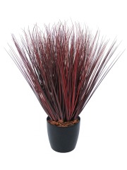 Herbe de feu artificielle