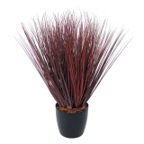 Herbe de feu artificielle