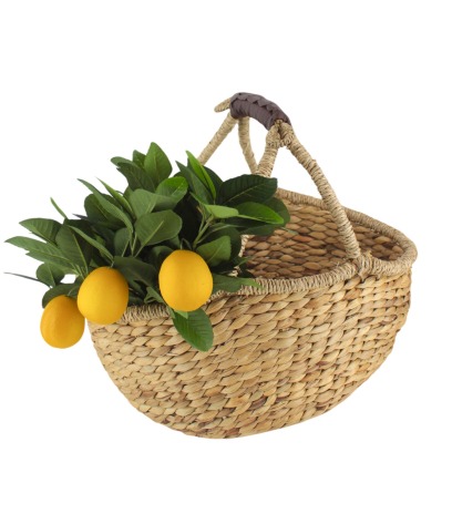 Panier en jacinthe d'eau