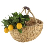 Panier en jacinthe d'eau