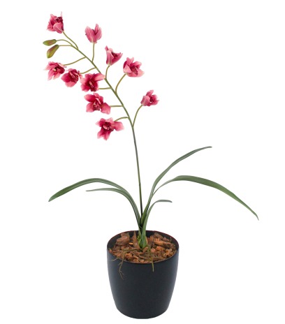 Cymbidium artificiel rouge
