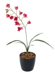 Cymbidium artificiel rouge