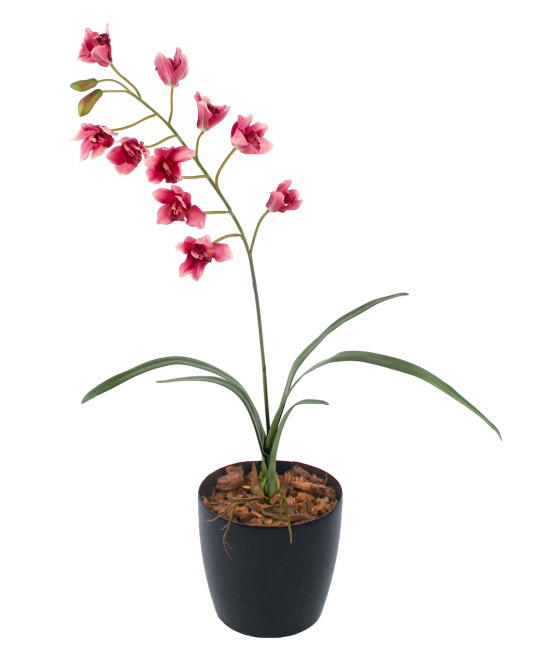 Cymbidium artificiel rouge