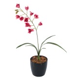 Cymbidium artificiel rouge