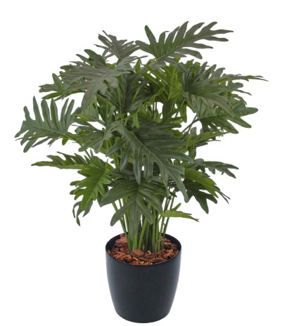 Philodendron selloum artificiel