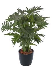 Philodendron selloum artificiel