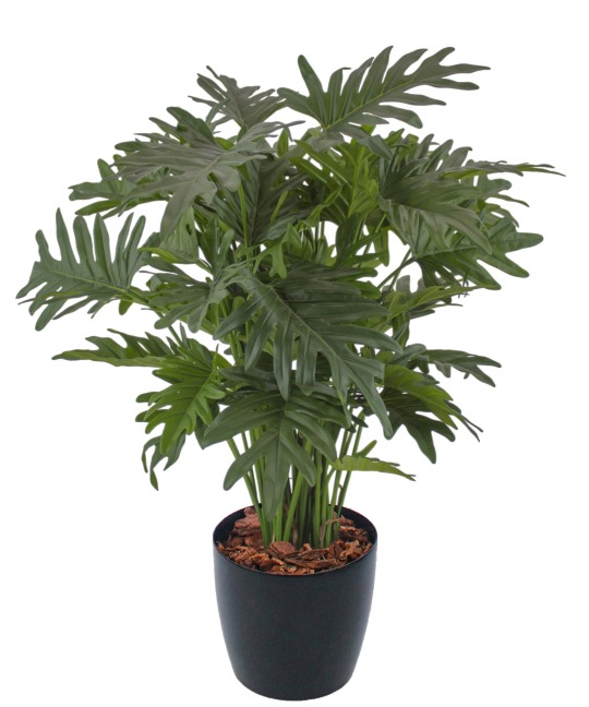 Philodendron selloum artificiel