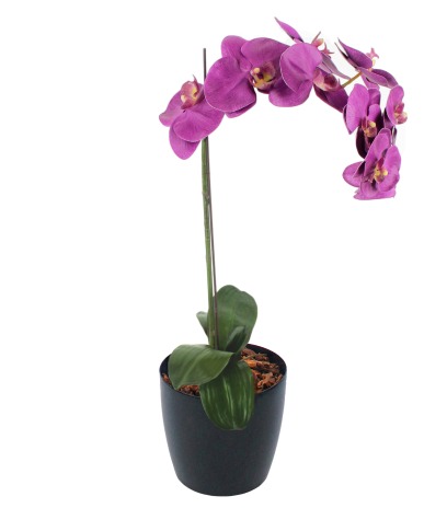 Phalaenopsis artificielle fuchsia