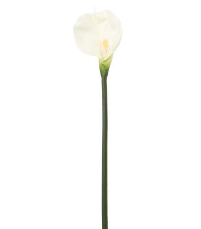 Calla artificielle blanche