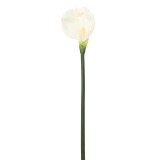 Calla artificielle blanche