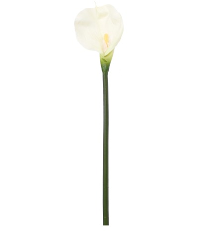 Calla artificielle blanche