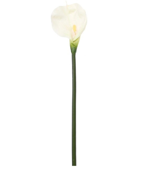 Calla artificielle blanche