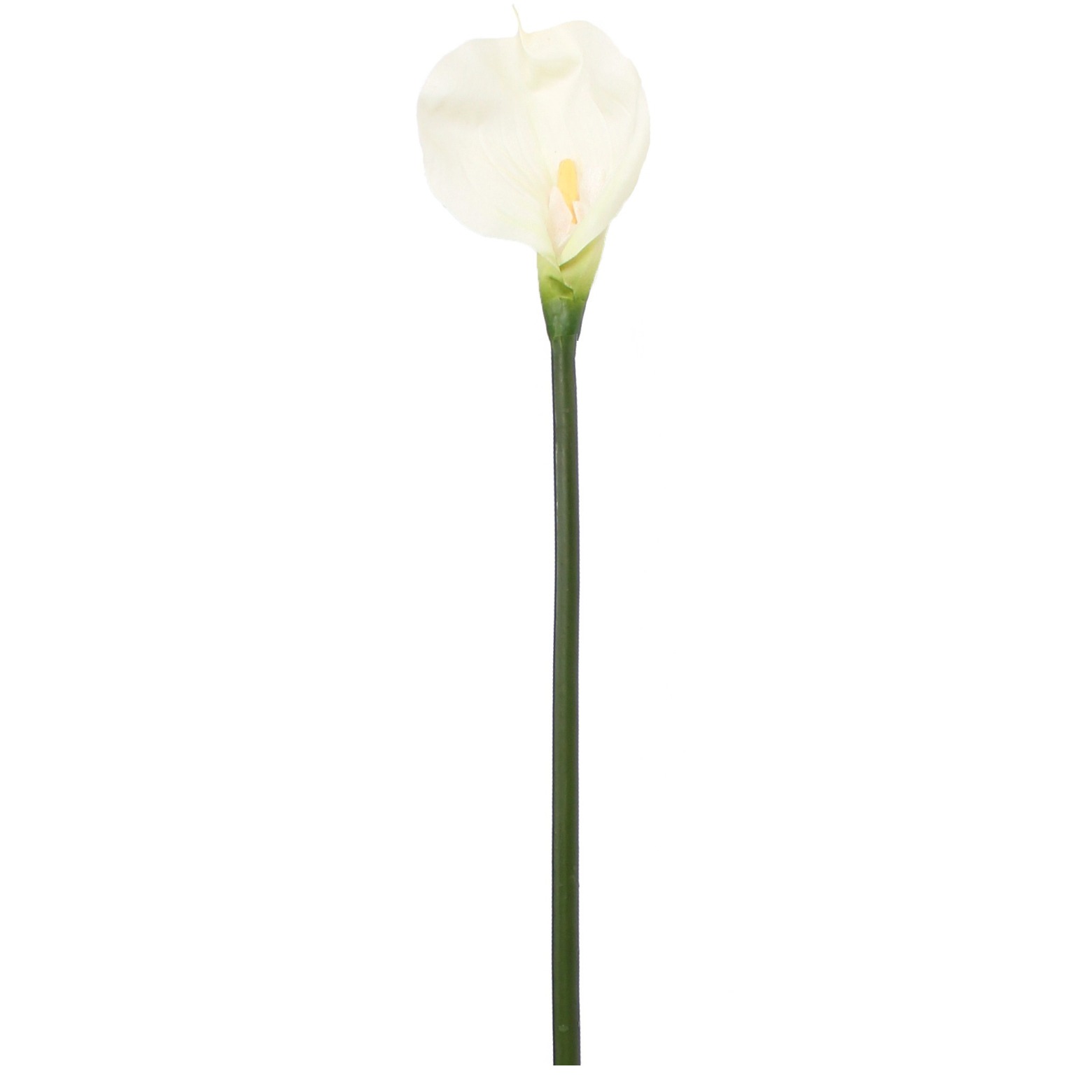 Calla artificielle blanche
