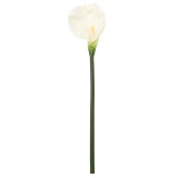 Calla artificielle blanche