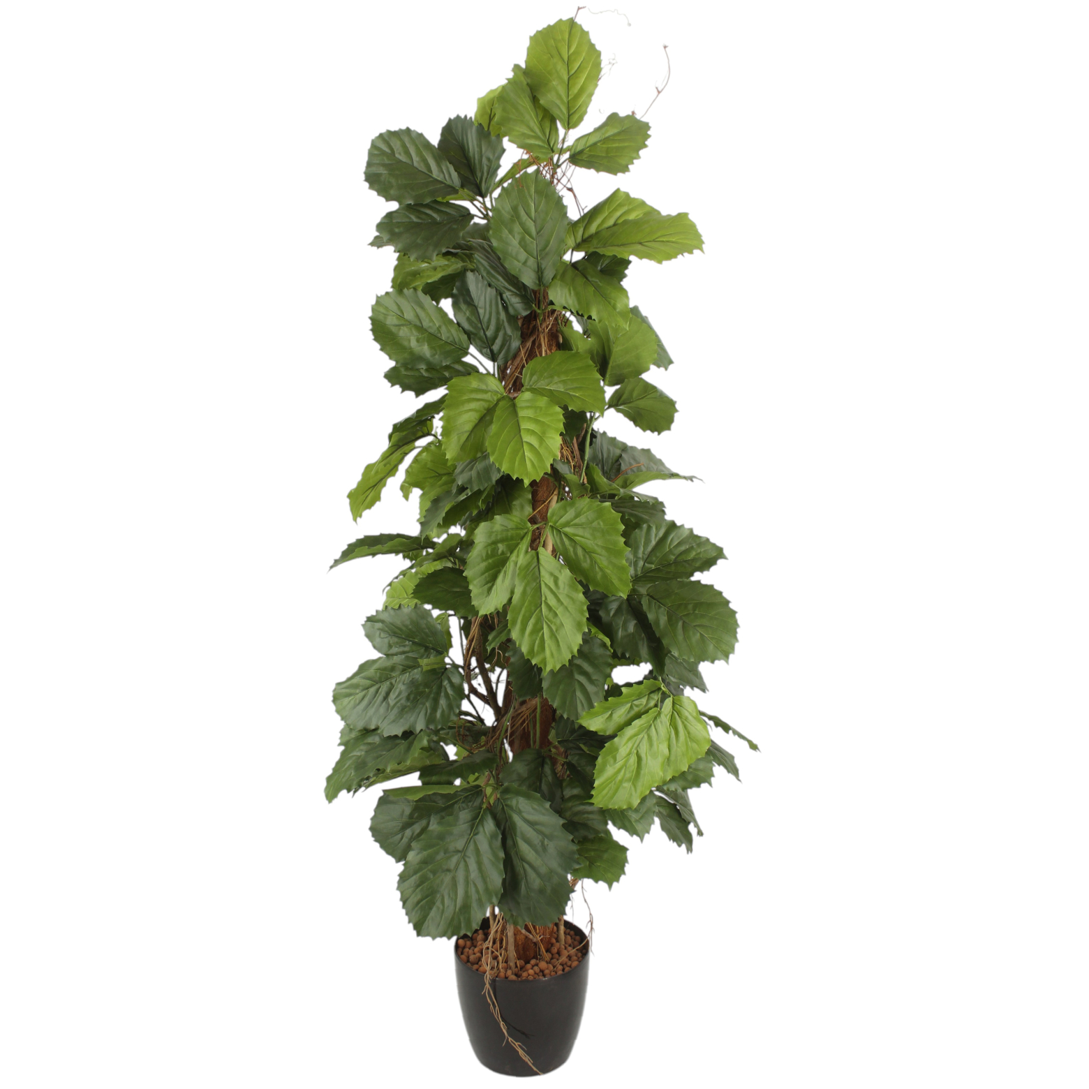 Vigne marronnier artificielle