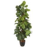 Vigne marronnier artificielle