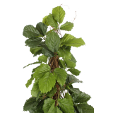 Vigne marronnier artificielle