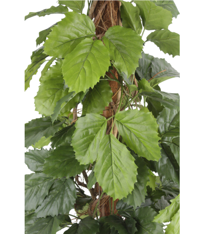 Vigne marronnier artificielle