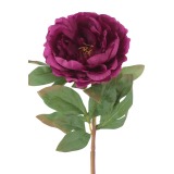 Pivoine rosace artificielle