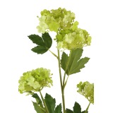 Viburnum artificiel vert