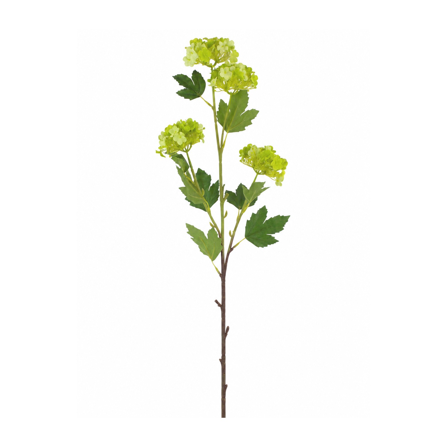 Viburnum artificiel vert