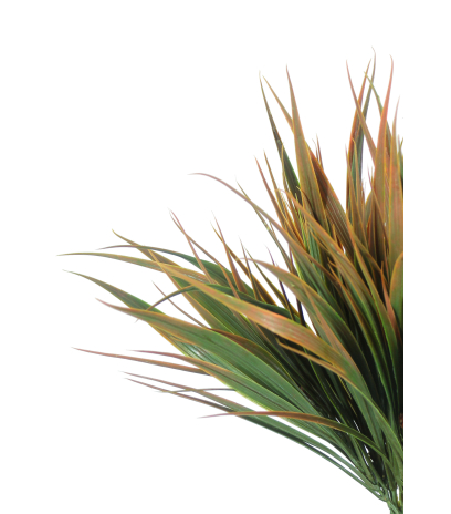 Herbe verte et brune artificielle