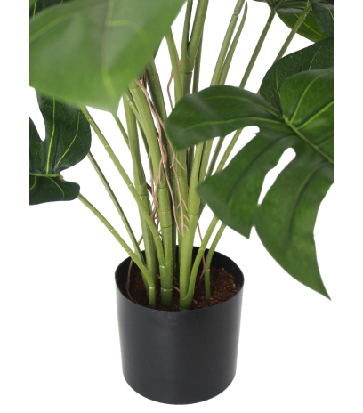 Pot