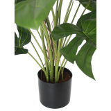Pot