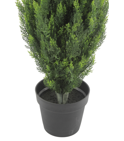 Pot
