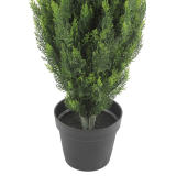 Pot