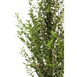 Grand eucalyptus artificiel