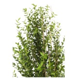 Grand eucalyptus artificiel