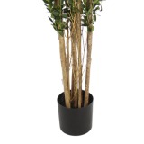 Pot