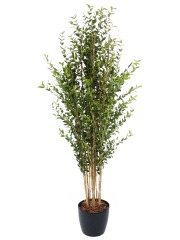 Grand eucalyptus artificiel