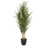 Grand eucalyptus artificiel
