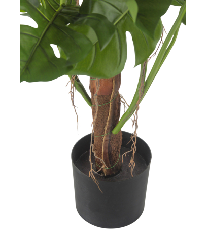 Pot